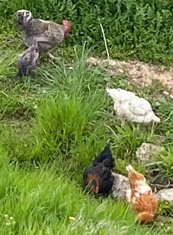Nyaraló Le Gite Du Moulin Lablachère Franciaország