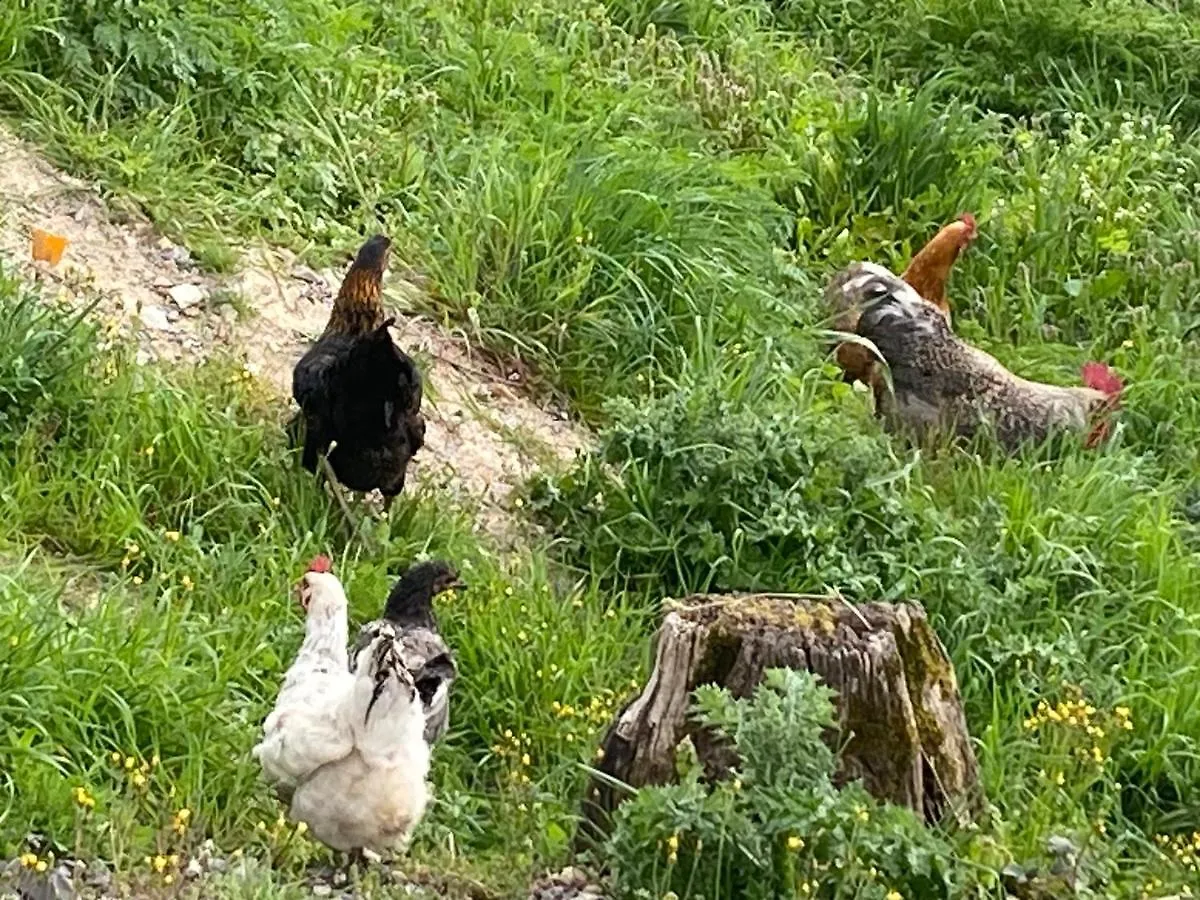 Le gite du moulin Lablachère 0*,