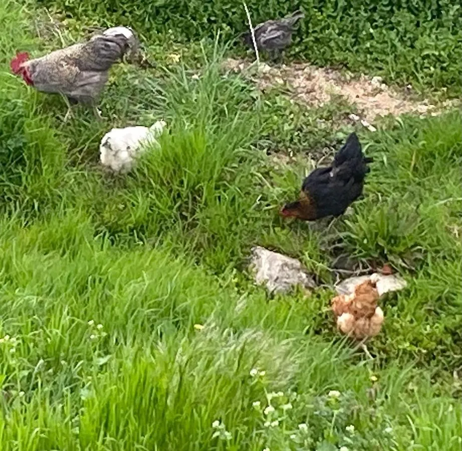 Hébergement de vacances Le gite du moulin Lablachère